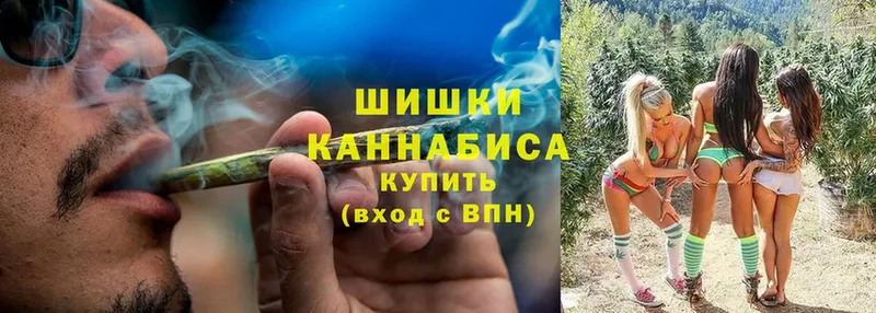 МАРИХУАНА SATIVA & INDICA  где найти   Ардон 